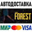 The Forest  * STEAM Russia