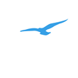 Charter LLC - "Smart Falcon" | 2022 | ALMIRA