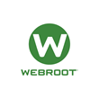Webroot SecurAnywhere AntiVirus until06.07.2024 1pc key