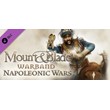 Mount & Blade: Warband - Napoleonic Wars (DLC) STEAM
