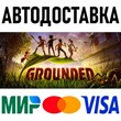 Grounded  * STEAM Russia