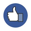 500 Page likes Facebook