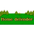 Home defender (Steam key/Region free)
