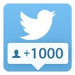 1000 followers Twitter PROMO