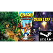 ⭐️ Crash Bandicoot N Sane Trilogy - STEAM (GLOBAL)