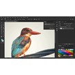 Complete Photoshop Video Course + Sample Files
