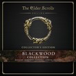 TESO Blackwood Collectors Edition (Steam) RU/CIS