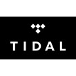 TIDAL Premium 🎧 3 MONTHS 🔥PRIVATE ACCOUNT 🔥WARRANTY