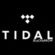 ✅ TIDAL HiFi Plus Family ★ 2 MONTHS ★ PRIVATE ACCOUNT