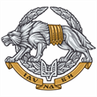 Special operations forces, Ukraine, logo