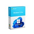 Windows 11 Pro
