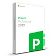 Microsoft Project Professional 2019  ( Key )