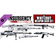 Insurgency: Sandstorm - Whiteout Weapon Skin Set 💎 DLC