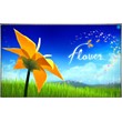 💠 Flower (PS4/PS5/RU) (Аренда от 7 дней)