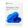 Windows 11 Professional x64 bit