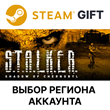 ✅S.T.A.L.K.E.R.: Shadow of Chernobyl🎁Steam Gift🚛Auto