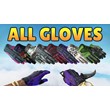 🧤CS:GO - Random Gloves
