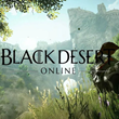 🎮 Black Desert - Steam. 🚚 Fast Delivery + GIFT 🎁