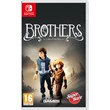 Brothers: A Tale of Two Son Switch