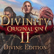 🎮 Divinity: Original Sin 2 - Divine - Steam. 🚚 + 🎁