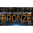 Random Steam Key Bronze | CASHBACK