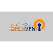 OPEN VPN profile activation file at 1Gb/s speed