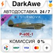 IL-2 Sturmovik: P-40E-1 Collector Plane (Steam | RU) ⚡А