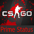 CS:GO Prime Status + Email (100h+ playtime)