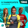 ✅The Sims 4: Набор "В университете" Xbox Активация + 🎁