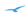 Charter LLC "Smart Falcon" | 2022 | almira