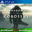 🎮Shadow of the Colossus (PS4/RUS) Активация✅