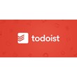 Todoist Pro | Subscription 1/12 months to your account