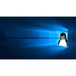 💎Pengwin Windows WIN 10 PC KEY🔑