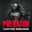 Predator Hunting Grounds аккаунт аренда Online