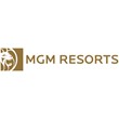 Личный кабинет MGM+ Гарантия 1 месяц