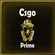 🌀CS:GO 2 Prime Status Upgrade STEAM🎁🚀AUTO GLOBAL💳0%