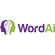 WordAi AI Премиум-аккаунт на 1 месяц