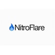 NitroFlare Премиум-аккаунт 12 часов 10 ГБ