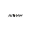 fileboom Premium Pro Account 3 дня 20 ГБ в день