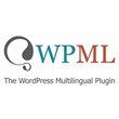 WPML Multilanguage Plugin Small Language Website 1 year