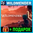 Wildmender ✔️STEAM Account