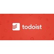 Todoist Pro Membership пополнение счета на 3 месяца