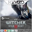 The Witcher 3: Wild Hunt 🔥 Steam Gift 💳0%