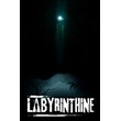 Labyrinthine (Account rent Steam) Online, GFN, VR