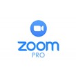 Zoom one pro  100P unlimited meeting 1 month(5GB)