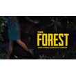 The Forest Россия + СНГ STEAM GIFT