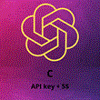 ⚫ Chat GPT 🔥 OpenAI 🟢 (5$ +API key) Personal account
