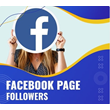 facebook profile followers /page followers high quality
