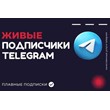 Подписчики Telegram | 1000 подписчиков Россия
