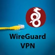 WireGuard VPN Нидерланды 1 месяц
